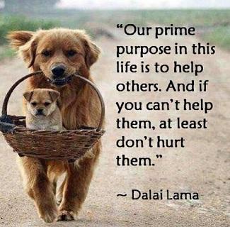 4 - Quote by Dalai Lama