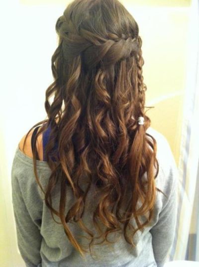 Braids (gallery of bests of pinterest)