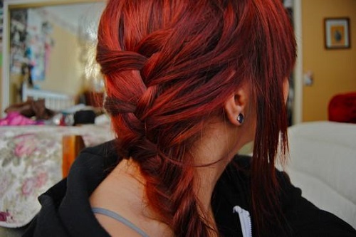 Red Hair and Braids (gallery of bests of pinterest)