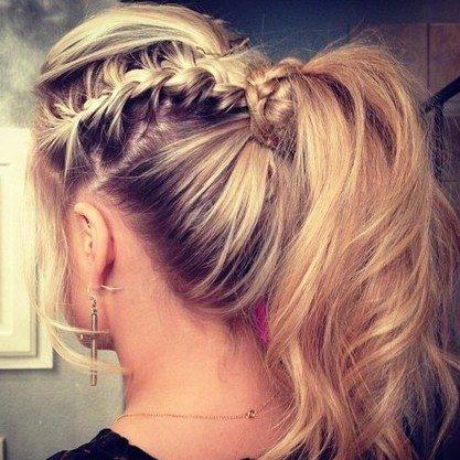 Braids and Ponytail (gallery of bests of pinterest)