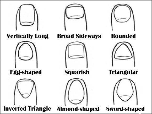 Can the Shape of Your Nails Reveal What Type of Person You Are?