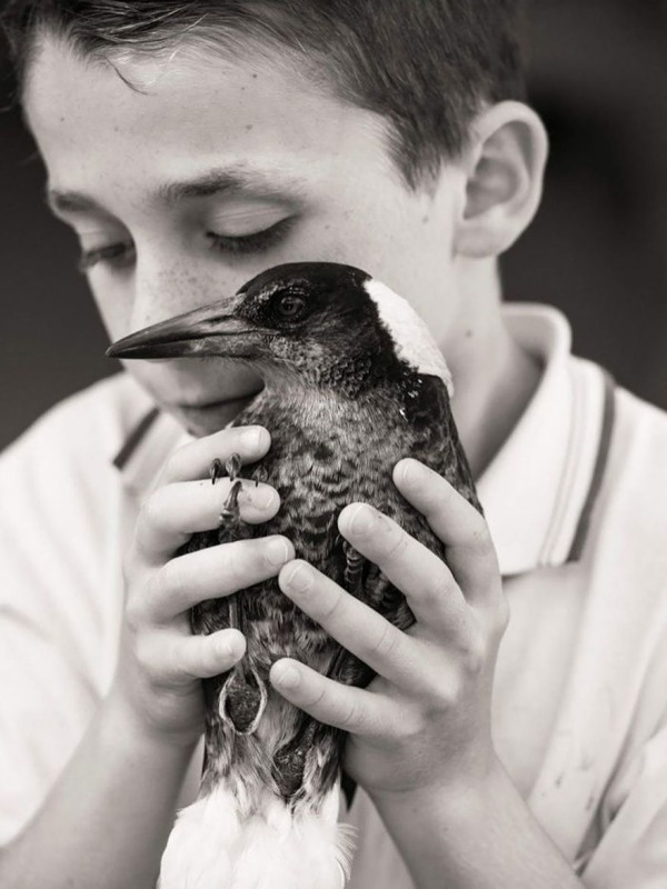 Rescued Magpie Becomes Lifelong Friend With The Family That Saved Her Life (27 Photos)