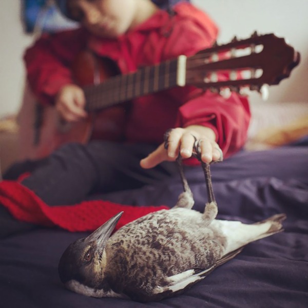 Rescued Magpie Becomes Lifelong Friend With The Family That Saved Her Life (27 Photos)