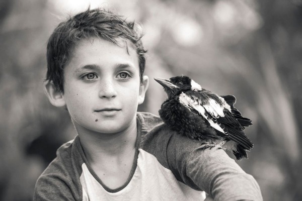 Rescued Magpie Becomes Lifelong Friend With The Family That Saved Her Life (27 Photos)