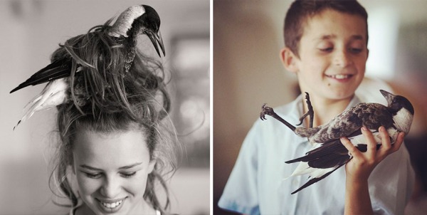 Rescued Magpie Becomes Lifelong Friend With The Family That Saved Her Life (27 Photos)