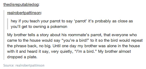 The 30 Funniest Conversations You’ll See On Tumblr