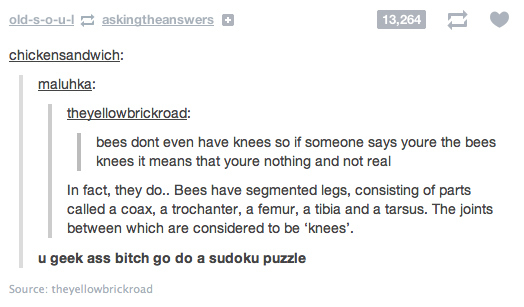 The 30 Funniest Conversations You’ll See On Tumblr