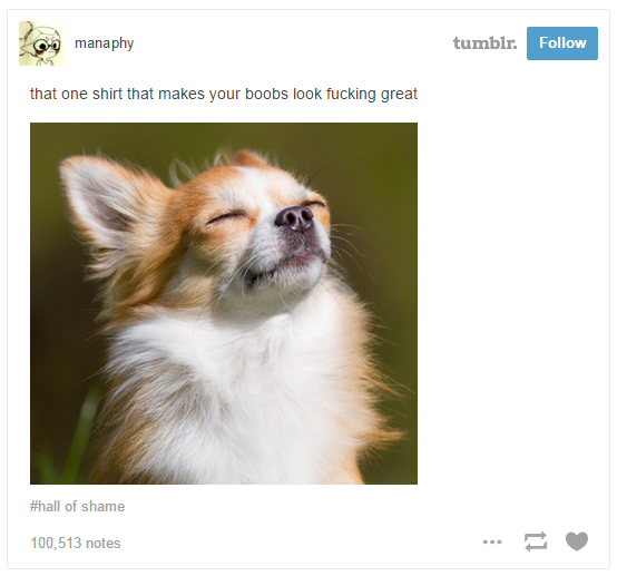 hilarious-tumblr-posts-13