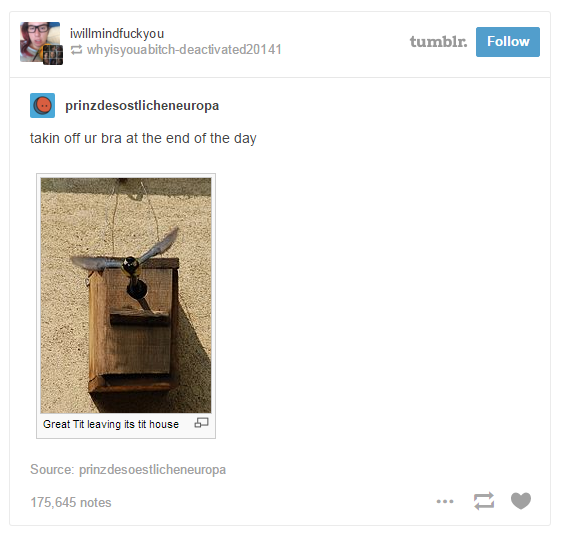 hilarious-tumblr-posts-8