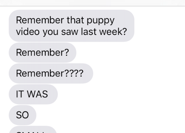 15 Rude Texts Your Tears Would Send You