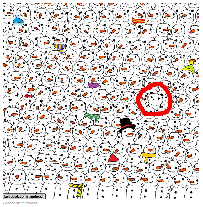 hidden-panda-6