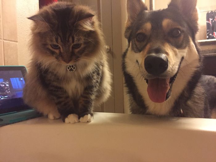 Every Time I Take A Bath. Never Any Privacy