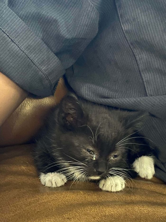 Stayed A Little Longer At The Shop To Save This Little Guy From Someone’s Engine Bay