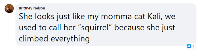 After 10 Years, Rock ‘n’ Roll Couple Finally Gets A Makeover