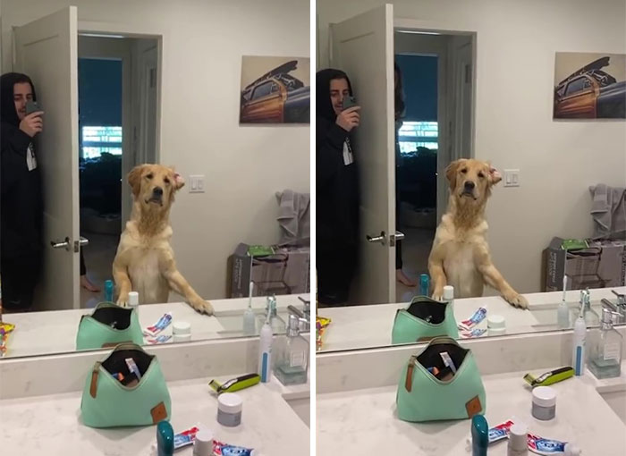 Men Apparently Have No Idea What This Hair Meme Means And Women Are Cracking Up