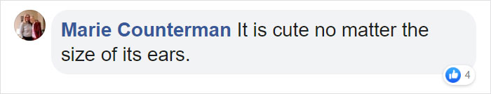 20 Long Hairstyle Trends 2014