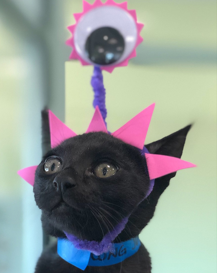 20 Long Hairstyle Trends 2014