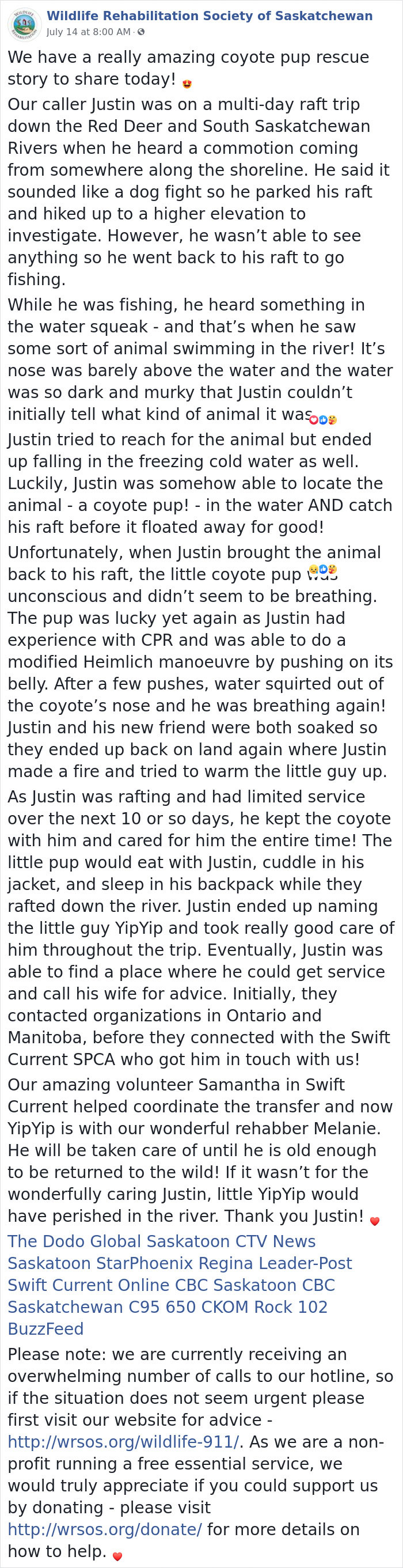 man-saves-coyote-cub-from-drowning-and-lives-10-days-with-him-on-his-raft-5f101167585be__700