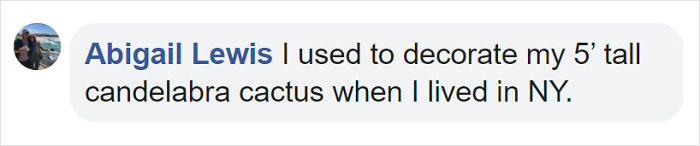 Holiday Hair Ideas: Festive Styles for Any Event