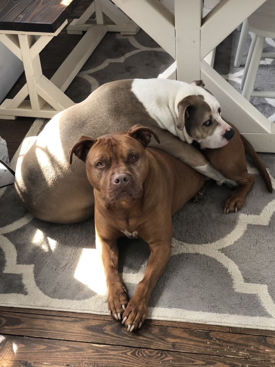 Perfect Nail Painting Art